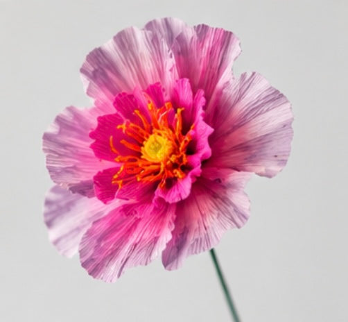 Workshop - Make a bouquet of crepe paper flowers - Haddenham Village Hall, Friday 25th September, 7.00 - 9.30pm10pm
