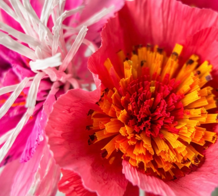 Workshop - Make a bouquet of crepe paper flowers - Haddenham Village Hall, Friday 25th September, 7.00 - 9.30pm10pm