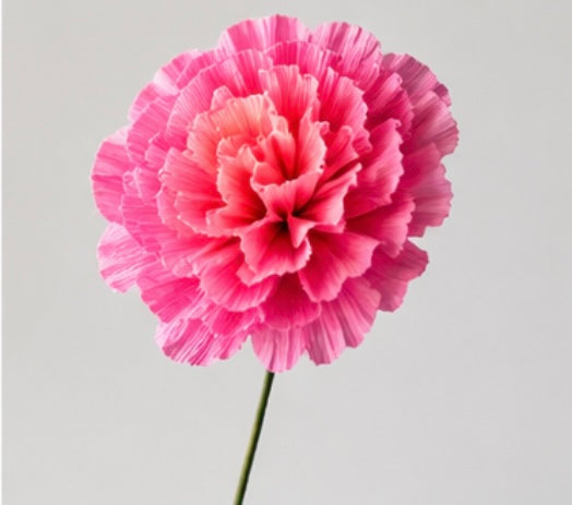 Workshop - Make a bouquet of crepe paper flowers - Haddenham Village Hall, Friday 25th September, 7.00 - 9.30pm10pm