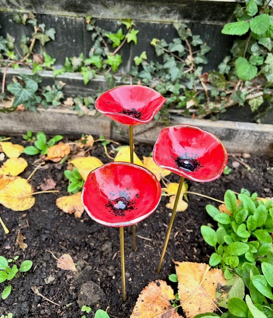 Fused Glass Poppy Bee Water Bowl - US Tariffs included (Copy)