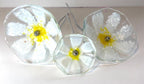 Glass daisies, posy of flowers, white flowers, gift for mum