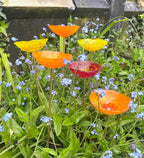 Bee cups, bird bath, butterfly bath, garden decoration, garden gift, garden flower