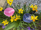 Bee cups, bird bath, butterfly bath, garden decoration, garden gift, garden flower