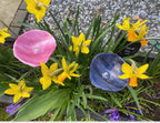 Fused glass bee water bowl, custom colour pollinator bath, bird and butterfly feeder for garden decor gift, handmade outdoor gift