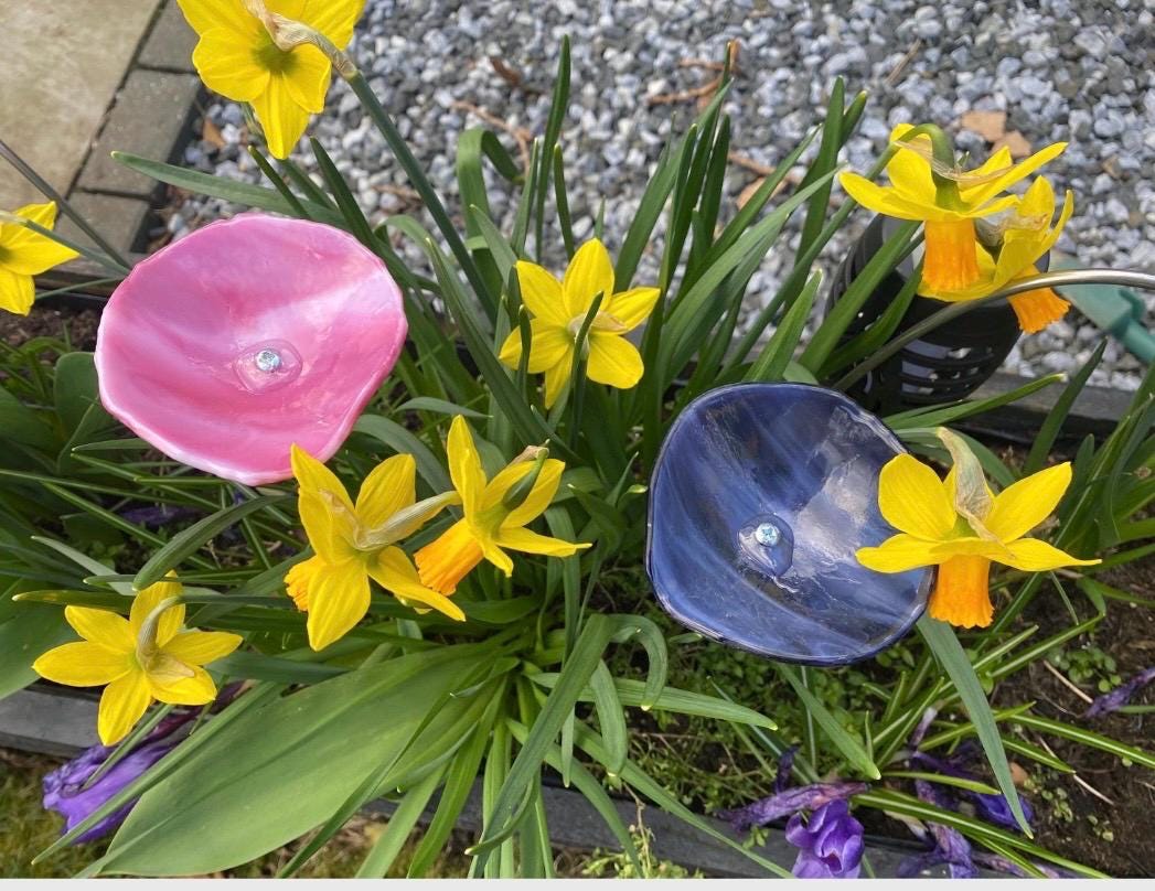 Fused glass bee water bowl, custom colour pollinator bath, bird and butterfly feeder for garden decor gift, handmade outdoor gift
