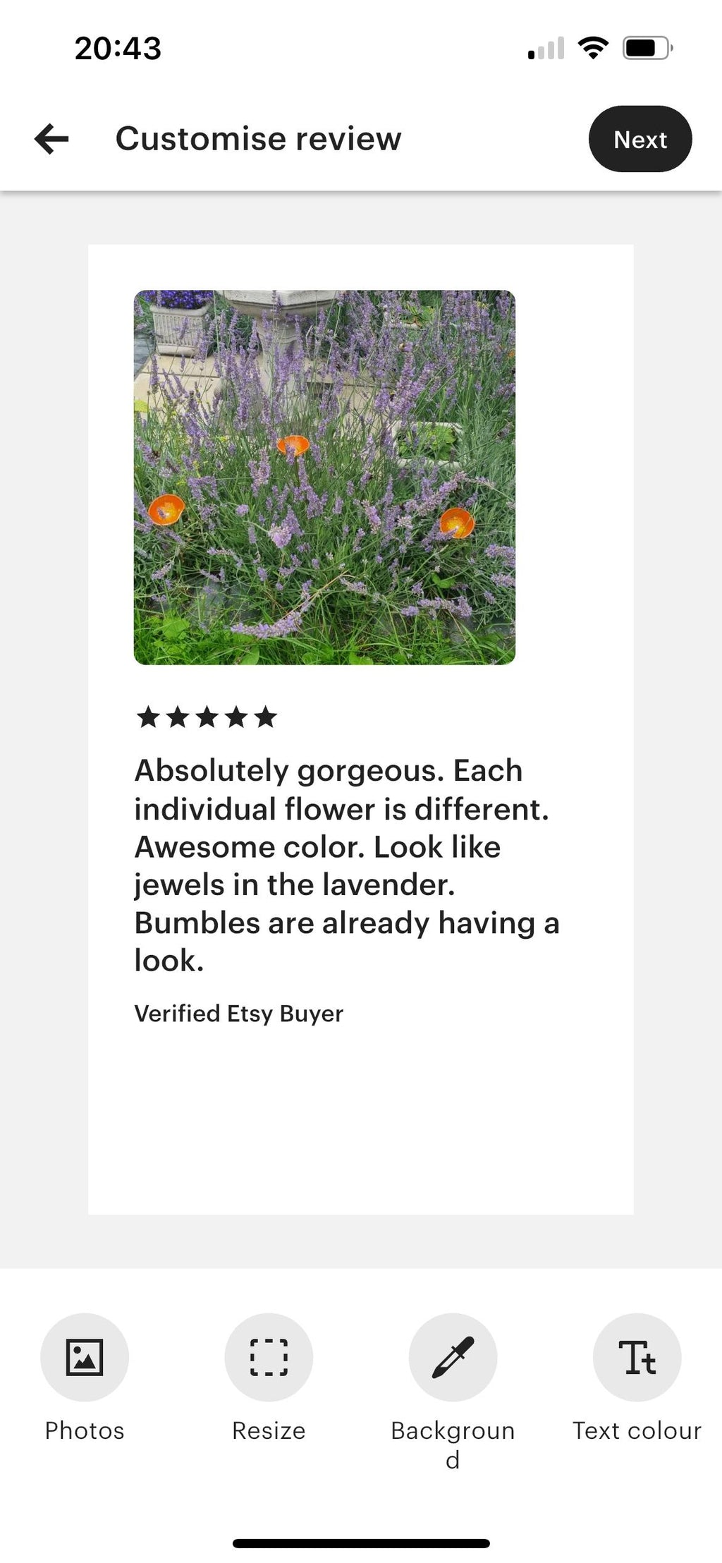 Gorgeous garden Bee Water Bowl