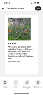 Gorgeous garden Bee Water Bowl