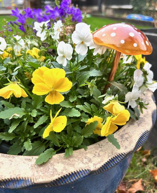 Toadstool Garden Ornament: